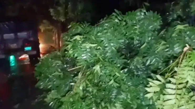 কালবৈশাখীর তাণ্ডব, তিনতলা থেকে পড়ে বৃদ্ধের মৃত্যু